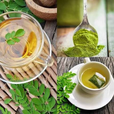 Moringa tea and leaves